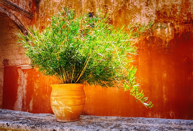 Port A Pot Rental