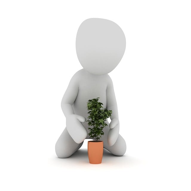 Port A Pot Rental