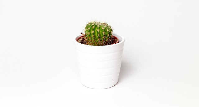 Port A Pot Rental