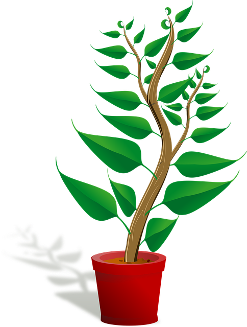 Port A Pot Rental