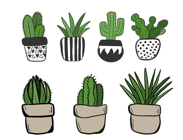 Port A Pot Rental
