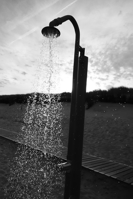 porta-potties-with-showers-640x480-25465447.jpeg