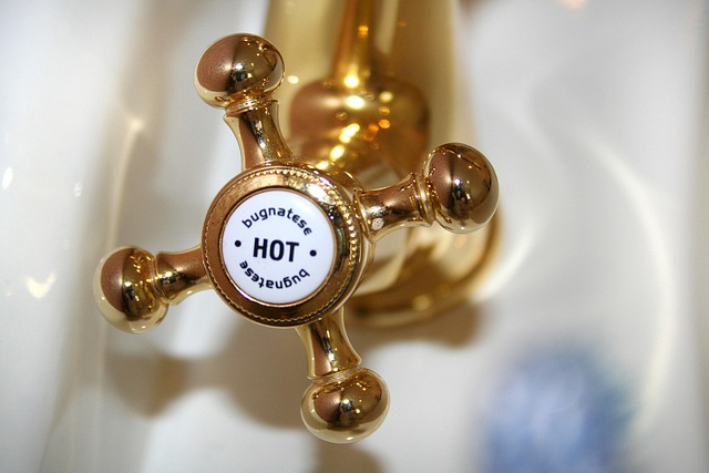 Hand Sink Rentals: Hygiene Solutions for Restaurants Near You