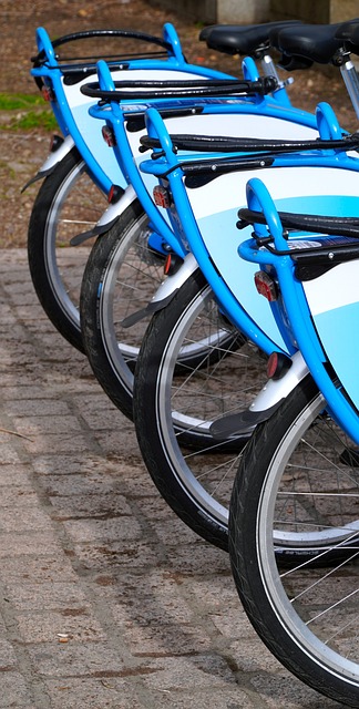 Affordable Porta Potty Rentals: Cut Costs, Save Big for Events