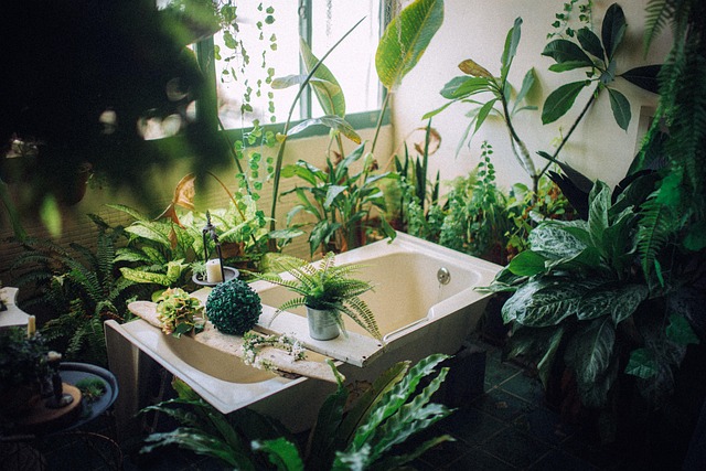 Portable Bathroom Rental