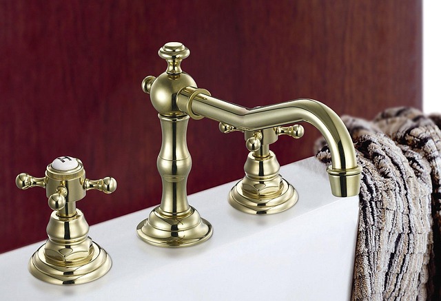Streamline Events with Local Portable Bathroom Rentals Near Me