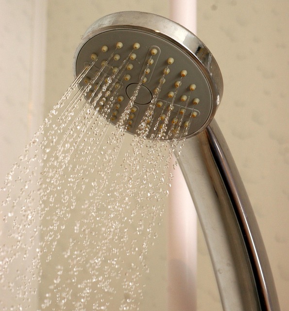 Portable Bathroom with Shower Rental: Event & Site Solutions