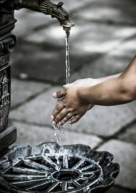 Portable Hand Washing Station Rental