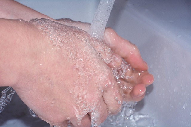 Portable Hand Washing Station Rental