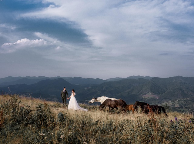 Portable Restrooms For Weddings San Bernardino CA