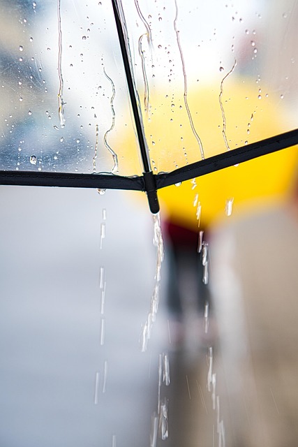 Mastering Portable Shower Trailer Repairs and Maintenance