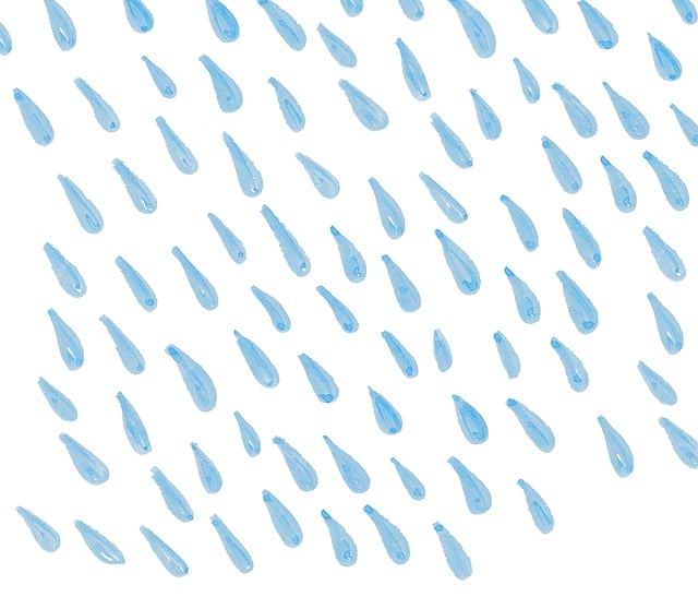 Experience Modern Clean Showers: Portable Trailer Rentals Near You