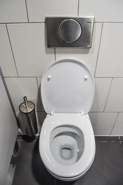 Portable Toilet Construction Site