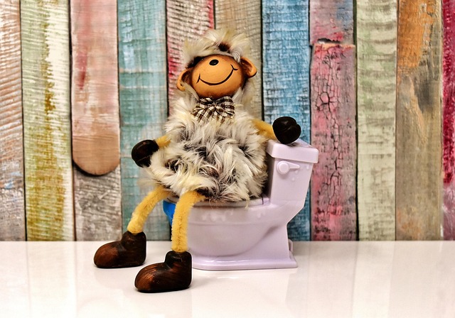 portable-toilet-near-me-640x480-956196.jpeg