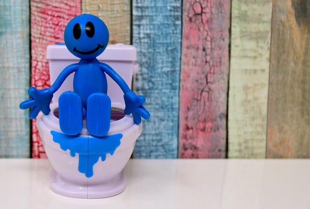 Find Local Portable Toilet Companies Near You