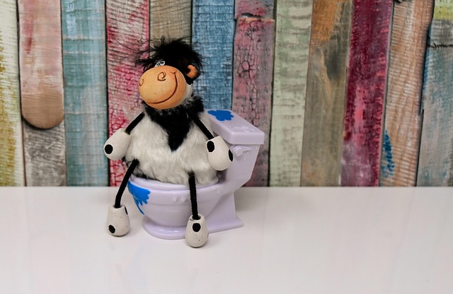 Clean Portable Toilets: Rent from Reputable Services Near You