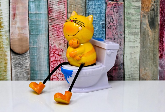 Portable toilet tracking and maintenance software