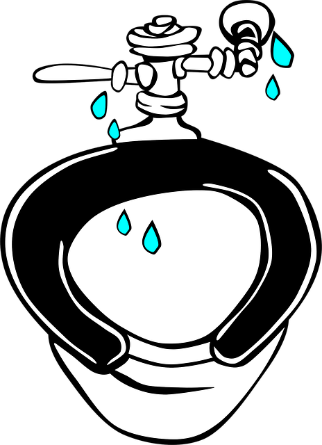 Portable toilet tracking and maintenance software