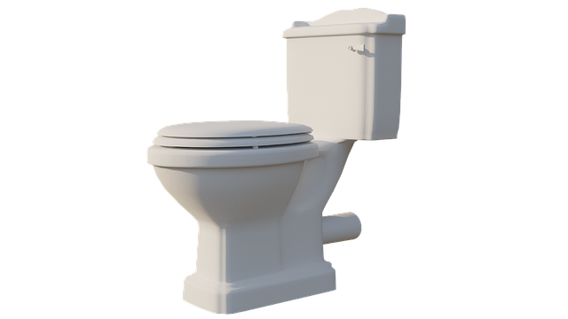 Portable Toilet With Trailer