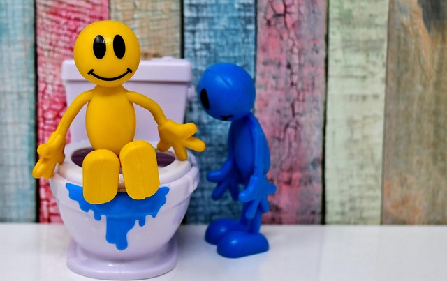 Portable Toilets Rent: Near Me Guide & Tips for Temporary Sanitation
