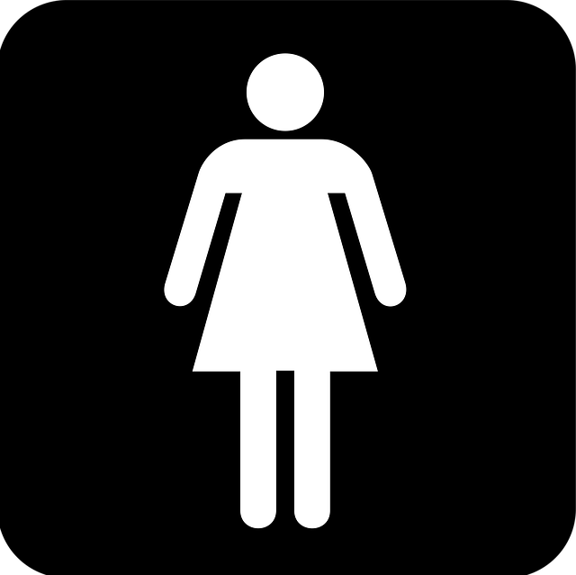 Navigating Orange County: Portable Toilets Rental Services and Eco-Friendly Choices