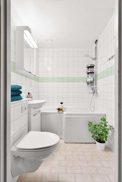 Portable Toilets Rental