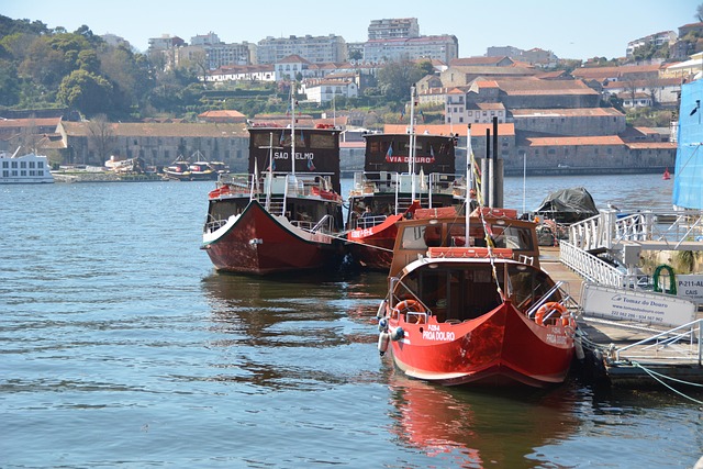 Porto Potty Rental