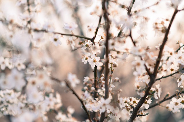 Grapelling.
#JAP
          
VAJに свойن, o drijný.
Drien,,..
-ап、モ др