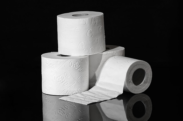 Rent Portable Toilets Near Me: Business Solutions for Temporary Needs