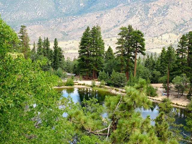 Rent Portable Restrooms San Bernardino: Event Preparation Mastery