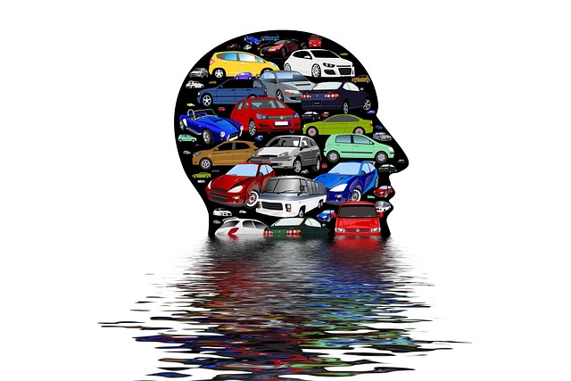 Restoration Water Damage Fort Collins CO