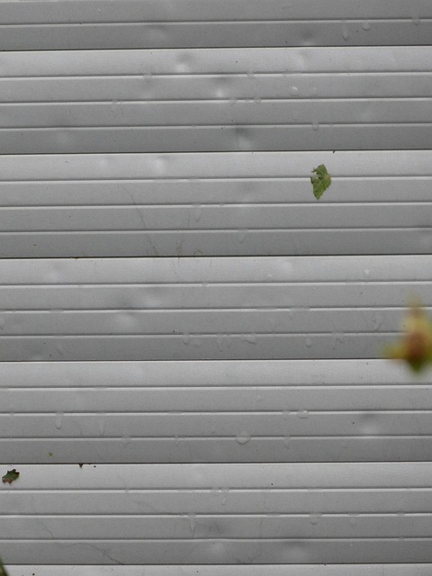 Restoration Water Damage Fort Collins CO