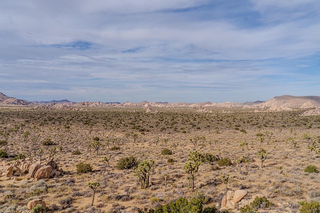 Solar-powered portable restroom units for remote locations