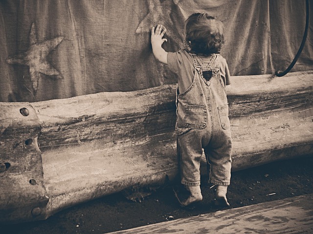 standing-water-removal-fort-collins-co-640x480-39733548.jpeg