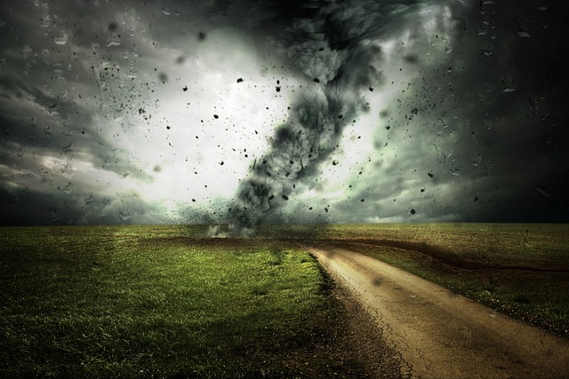 Storm Damage Repair McKinney TX