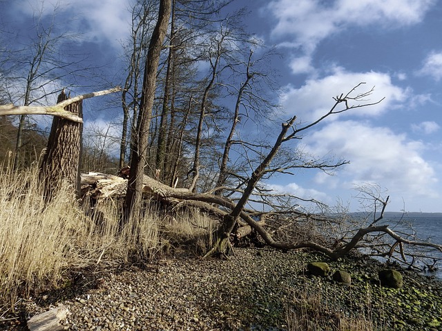 Storm Damage Repair McKinney TX: Guide to Recovery