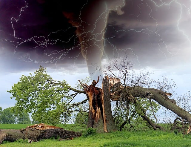 Storm Damage Repair Pomona CA