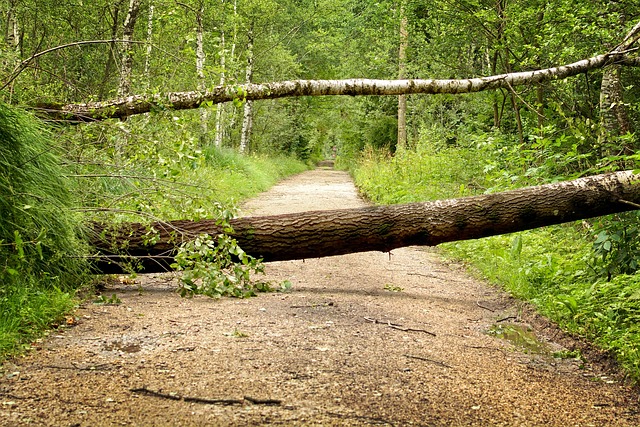 Storm Damage Repair Pomona CA