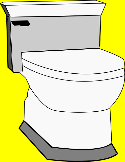 Seamless Wedding Planning: Nearby Temporary Toilet Rentals