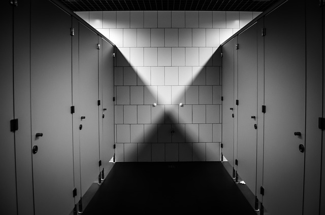 Temporary Toilet Rental