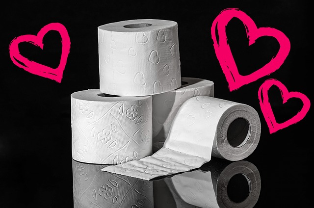Top Temporary Toilet Rental Services for Sanitary Solutions