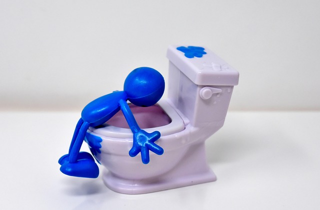 Temporary Toilet Rental