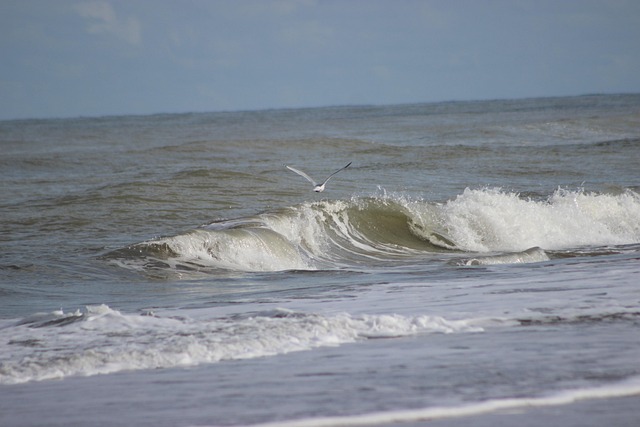Water Damage Assessment Norfolk VA