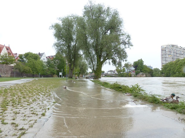 Water Damage Assessment Norfolk VA