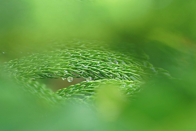 Water Damage Assessment Norfolk VA