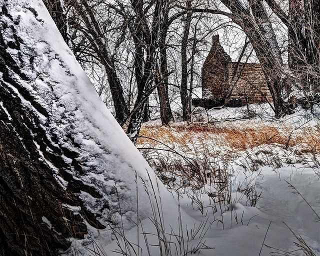 Water Damage Cleanup Fort Collins CO