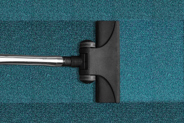Water Damage Cleanup Norfolk VA