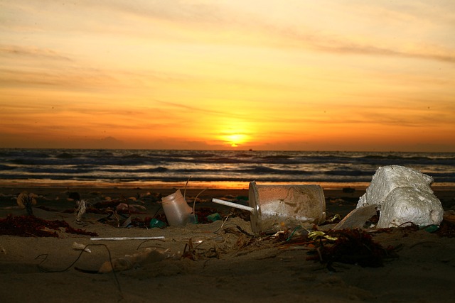 Water Damage Cleanup Pomona CA