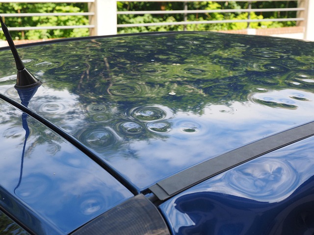 Water Damage Company Norfolk VA
