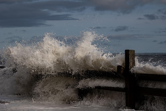 Water Damage Repair: Norfolk VA Experts Guide Homeowners